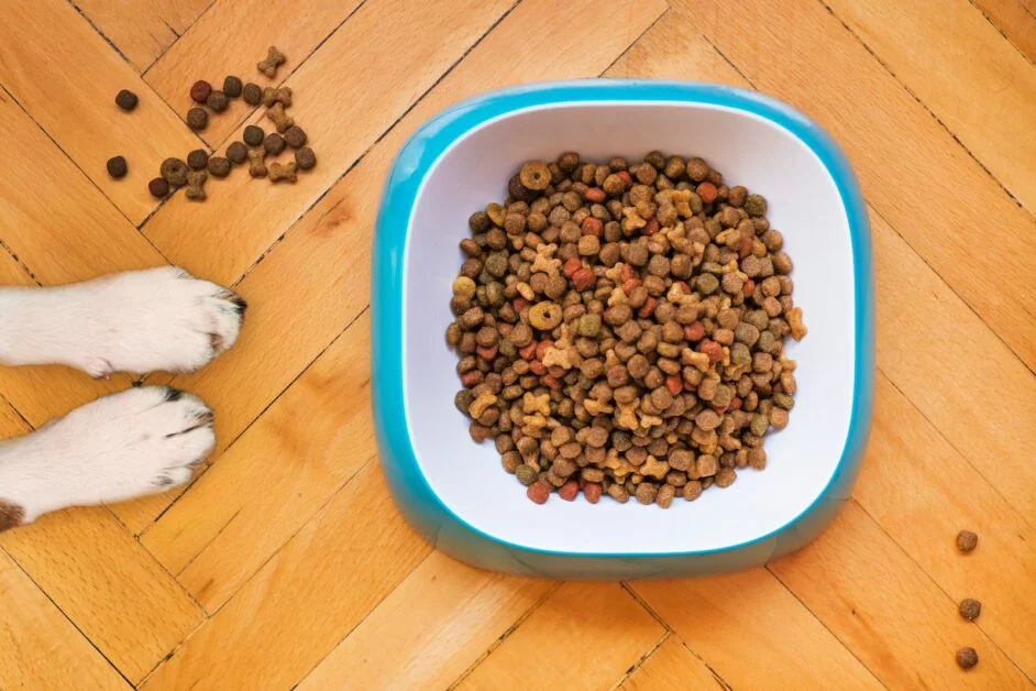 best dog food for border collies