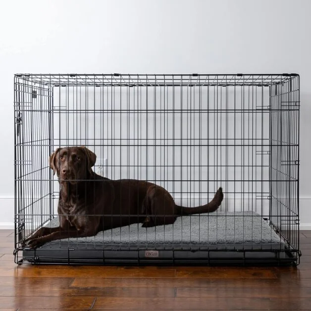 OhGeni Orthopedic Dog Beds for Large Dogs,Dog Bed with Plush Egg Foam Support and Non-Slip Bottom, Waterproof and Machine Washable Removable Pet Bed Cover