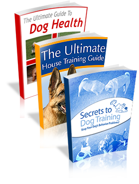 Border Collie Training.pdf Training Your Border Collie to Herd Like a Pro: The Complete 10-Step ...
